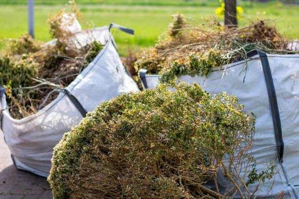 Best Household Junk Removal  in Larch Y, WA